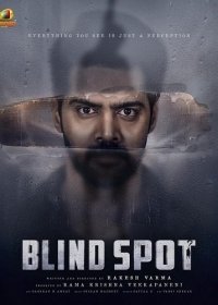 Слепое пятно (2025)